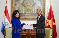 Le Vietnam et le Paraguay ont de grands potentiels de coopération