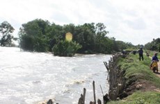 Delta du Mékong: 24 projets de lutte contre le changement climatique à lancer d'ici 2020