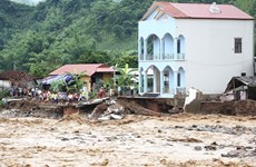 Aide de la Croix-Rouge du Vietnam pour les populations sinistrées des régions montagneuses du Nord