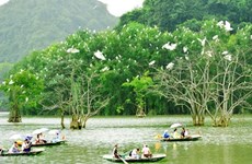 Le tourisme, point fort de l’économie de Ninh Binh