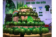 Binh Duong cherche à valoriser ses agrumes