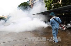 Le ministère de la Santé intensifie ses efforts pour lutter contre la dengue