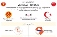 Les relations Vietnam - Turquie en infographie