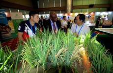 APEC 2017: Vernissage d’une exposition sur l’agriculture à Can Tho