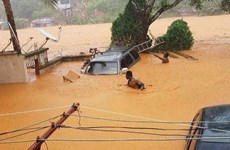 Inondations en Sierra Leone: message de condoléances du Vietnam