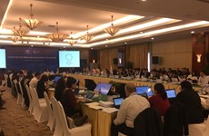 APEC: le Vietnam propose l'amélioration du commerce électronique 