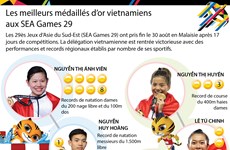 Les meilleurs médaillés d’or vietnamiens aux SEA Games 29