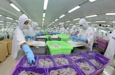 L’Asie, un marché important pour les crevettes vietnamiennes