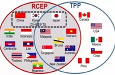 Le RECP repoussé ultérieurement par les pays d’Asie-Pacifique