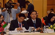 Le Vietnam à la première Conférence du Conseil exécutif de l’APA