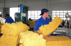 979.000 tonnes de caoutchouc exportées en 9 mois