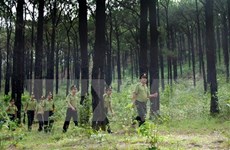 Pour protéger les forêts, Thua Thiên-Huê et l’USAID coopèrent dans le projet Truong Son Xanh 
