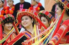 Bientôt la Semaine de la grande solidarité des ethnies et du patrimoine culturel du Vietnam de 2017