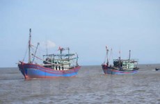 La VASEP et la Garde-côte coopèrent contre la pêche INN