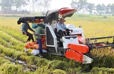 Ninh Binh encourage la production agricole propre