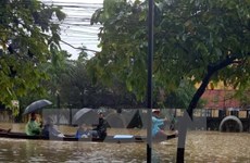 La Russie et le Japon aident le Vietnam à remédier aux conséquences du typhon Damrey
