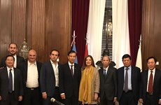 Renforcement de la coopération entre Hanoi et les villes du Brésil, d'Argentine et du Chili