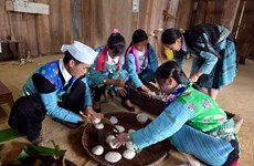 « Les bons plats des régions » au Village culturel et touristique des ethnies du Vietnam