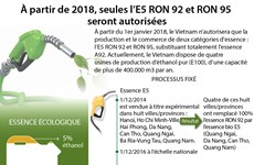À partir de 2018, seules l’E5 RON 92 et RON 95 seront autorisées