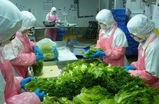 Elever la capacité logistique pour le développement du secteur des fruits et légumes