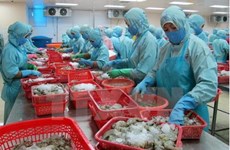 Les exportations de crevettes se sont envolées en 2017