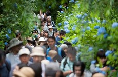 Hausse spectaculaire du nombre de touristes vietnamiens au Japon en dix ans