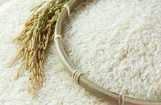 Le Vietnam remporte une adjudication d’exportation de 141.000 tonnes de riz en Indonésie