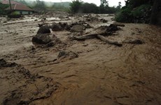 Indonésie : au moins 20 morts et disparus dans un glissement de terrain