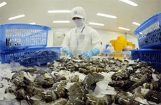 La VASEP demande aux États-Unis de réexaminer la taxe antidumping sur les crevettes vietnamiennes