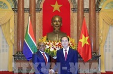 Le président Tran Dai Quang reçoit les ambassadeurs sud-africain et égyptien