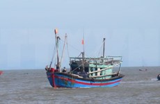 Des bateaux de pêche de Quang Binh sont dotés d'équipements HF