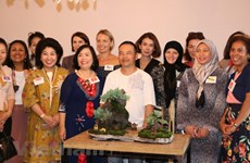 Promotion de la culture vietnamienne en Australie