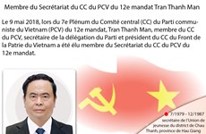 Membre du Secrétariat du CC du PCV du 12e mandat Tran Thanh Man