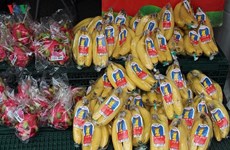 Promotion des produits agricoles vietnamiens au Japon