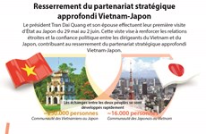 Resserrement du partenariat stratégique approfondi Vietnam-Japon