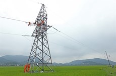 Des progrès notables dans l'électrification des zones rurales