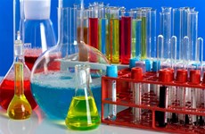 Industrie chimique: des entreprises indiennes cherchent des opportunités à HCM-Ville