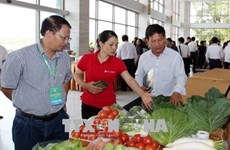 Promotion de l'import-export des produits agricoles entre Lao Cai et le Yunnan