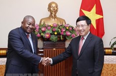 Le vice-Premier ministre Pham Binh Minh reçoit le nouvel ambassadeur mozambicain