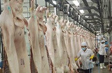Viande porcine: les importations nationales dépassent le million de dollars en juin