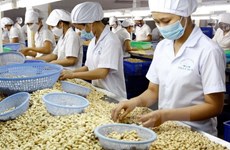 Opportunités d’exportations nippones et européennes pour les produits agricoles du Vietnam 