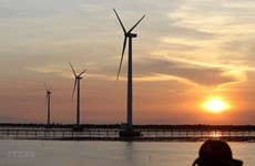 Tra Vinh : construction d’un parc éolien de plus de 140 millions de dollars
