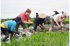Développement du tourisme communautaire au Vietnam