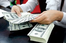 HCM-Ville : 2,9 milliards de dollars de devises transférées en sept mois