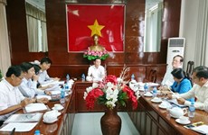 Programme d’échange culturel et commercial Vietnam-Japon attendu en novembre à Can Tho