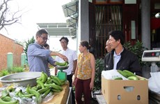 Lam Dong exporte des bananes Laba vers le Japon