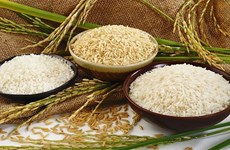 L'Egypte importera un million de tonnes de riz blanc vietnamien