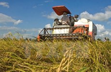 FEM ASEAN 2018 : vers la croissance durable de l’agriculture vietnamienne