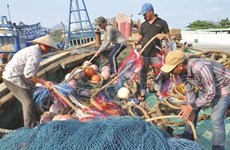 L'avertissement ‘’carte jaune’’ affecte l'exportation de fruits de mer vietnamiens vers l'UE