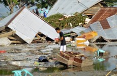 Aucune information sur les Vietnamiens morts ou blessés lors du séisme et du tsunami en Indonésie